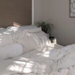 punaise de lit