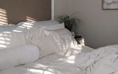 punaise de lit