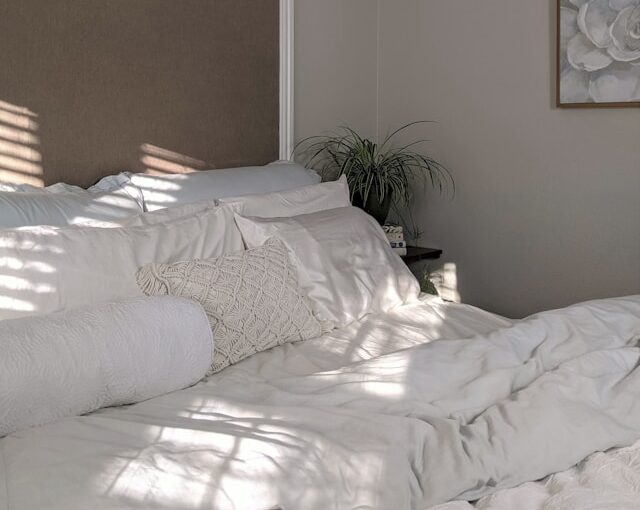 punaise de lit