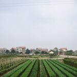 immobilier agricole