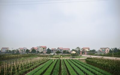 immobilier agricole
