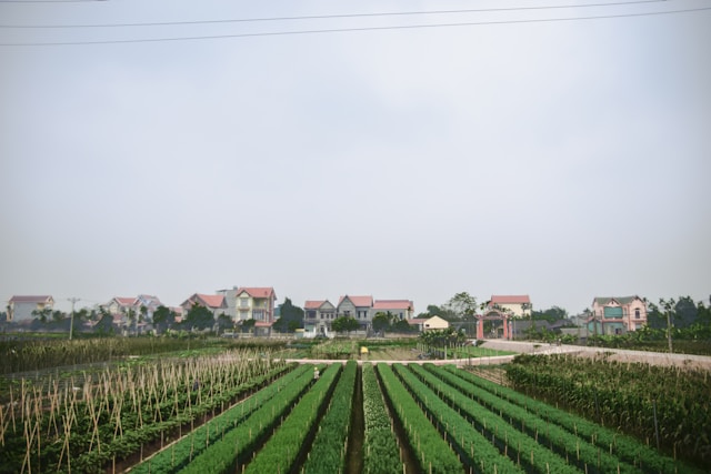immobilier agricole